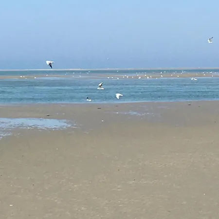Σπίτι διακοπών Maison De Pecheur Renovee A 3 Mn De La Mer. Cayeux-sur-Mer