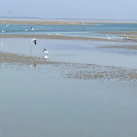 Maison De Pecheur Renovee A 3 Mn De La Mer. * Cayeux-sur-Mer